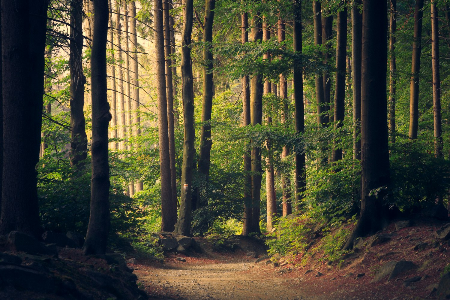 Look a little closer at the green spaces.